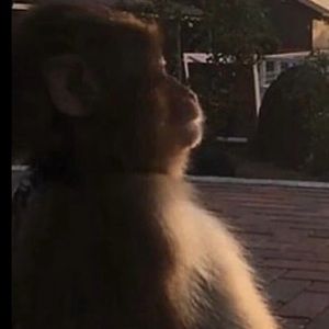 Meet your Posher, Daylon